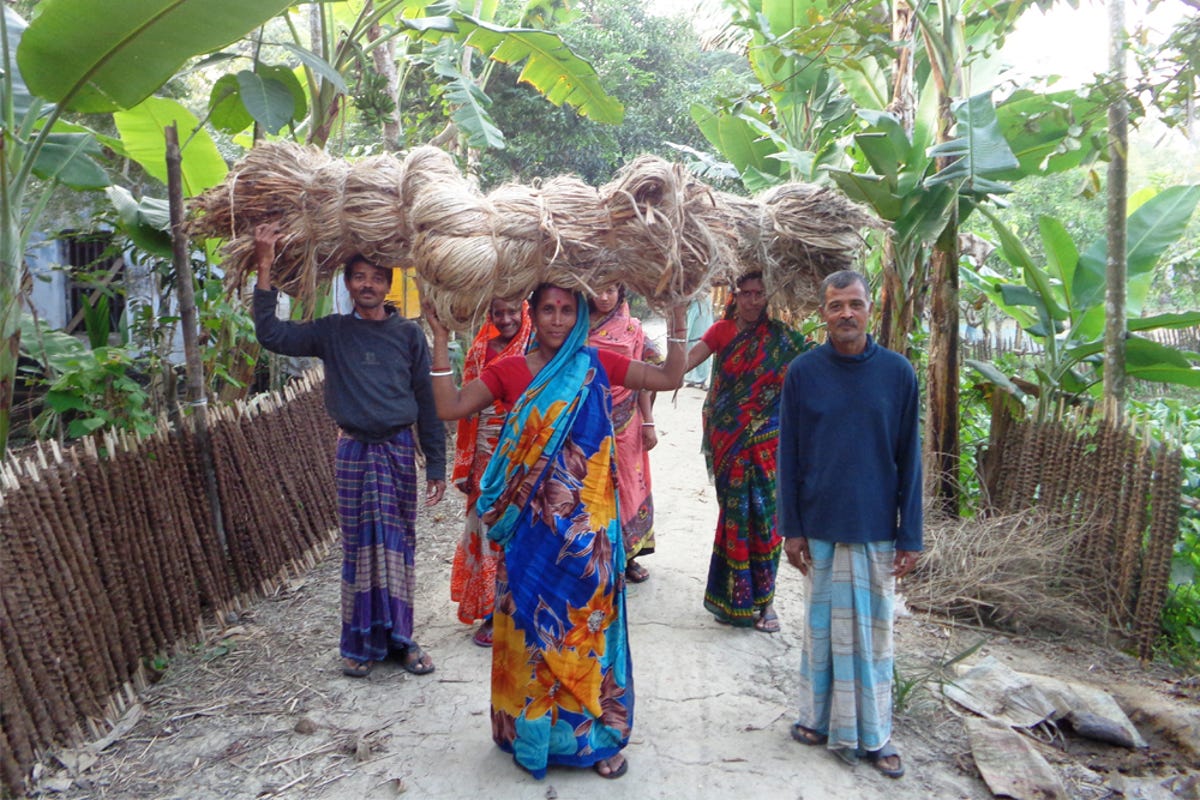 Slideshow-CARE-Bangladesh-Jute-an-eco-friendly-opportunity-sustainable-future-01.jpg